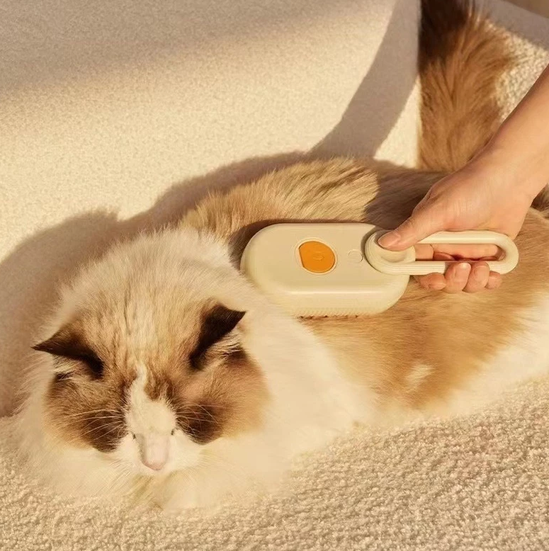 Captura de tela 2025-03-31 084156