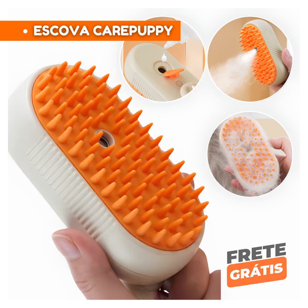 artes escova á vapor (2)